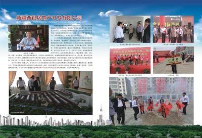 扎根大漠的活力之城 新疆西銀房地產莎車分公司的建業之路